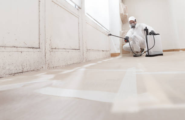 24/7 Emergency Crawl Space Mold Remediation experts in Cherry Hill, VA