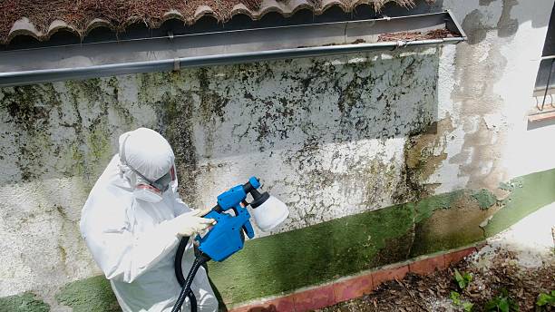 Top rated local Crawl Space Mold Remediation specialists in Cherry Hill, VA